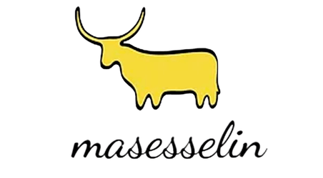 logo-masesselin